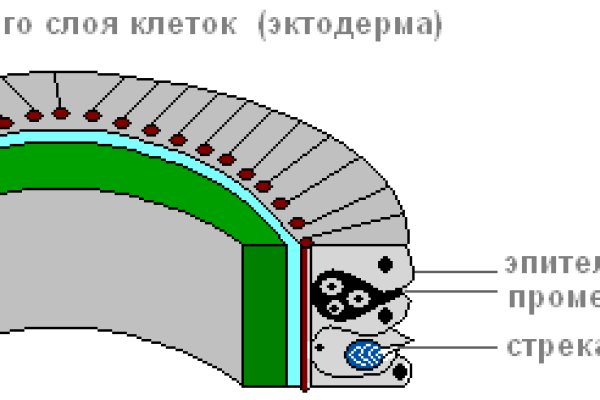 Kraken вход и ссылки