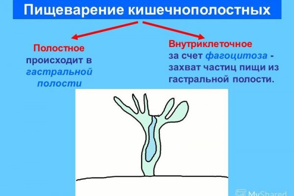 Что такое даркнет кракен