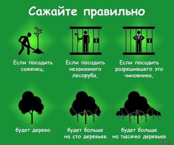 Как зайти на кракен с айфона
